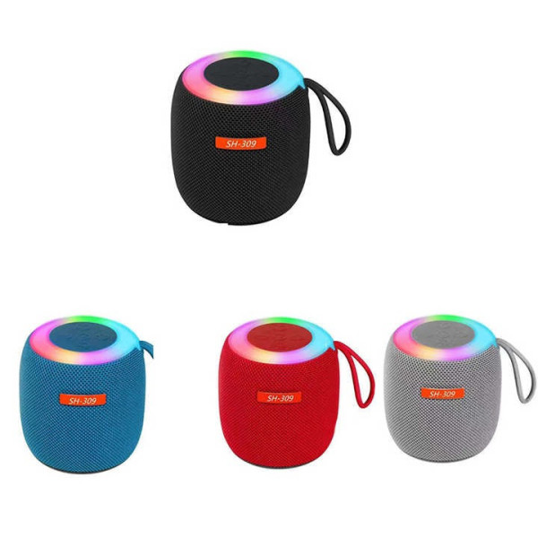 Bluetooth колонка SH 309 BT 100 Вт портативная с мощным звуком и басами