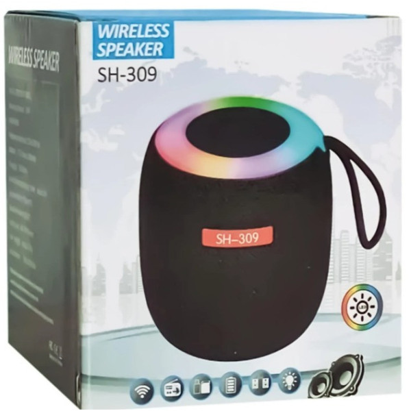 Bluetooth колонка SH 309 BT 100 Вт портативная с мощным звуком и басами
