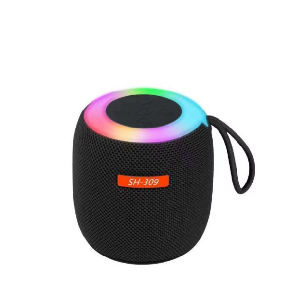 Bluetooth колонка SH 309 BT 100 Вт портативная с мощным звуком и басами