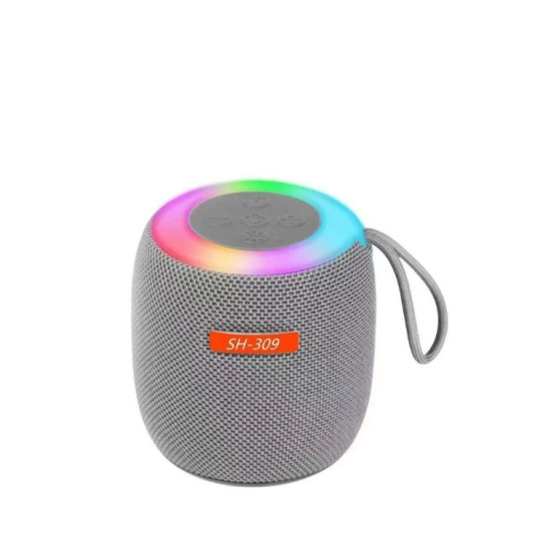 Bluetooth колонка SH 309 BT 100 Вт портативная с мощным звуком и басами