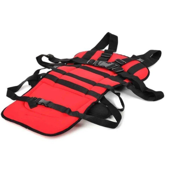 Детское безкаркасное автокресло Multi Function Car Cushion (Красное)