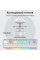Увлажнитель-ночник Doctor-101 Rainfall с RGB подсветкой и эффектом капающего дождя